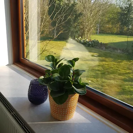 Hébergement de vacances House In 5 Bdr - Next To Lego Adventures