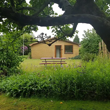 House In 5 Bdr - Next To Lego Adventures *